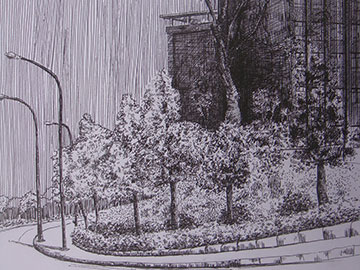 ����ɭ�b���O(sh��)Ӌ(j��)���ͬ�W(xu��)�������L��Ʒ