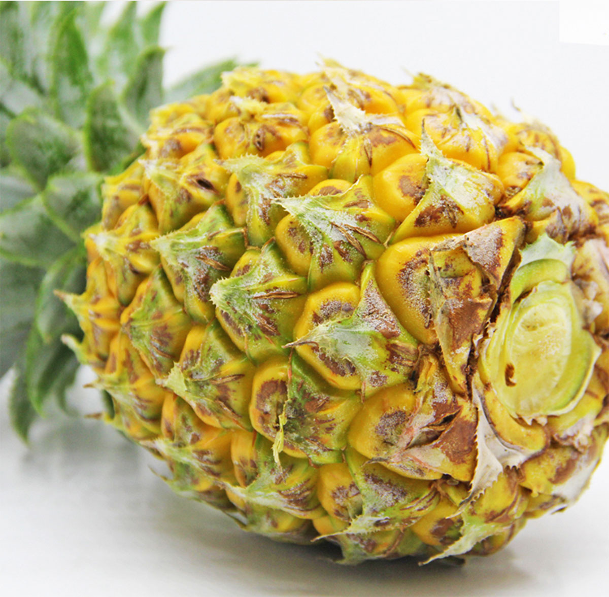 ����ɭ����ƽ����Ʒ-���ƺù����Ԍ�����b���c�a(ch��n)ƷԔ�������