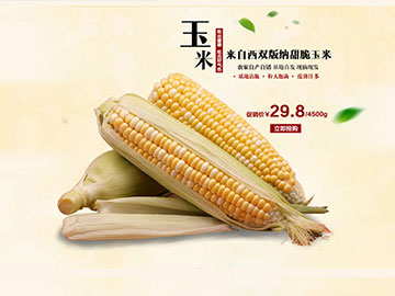 ƽ���OӋ�������ƺù������Ԍ�����b���c�aƷԔ�������