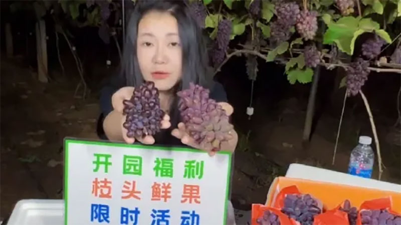 ����ɭ��������W�Tꐿ°�ֱ��