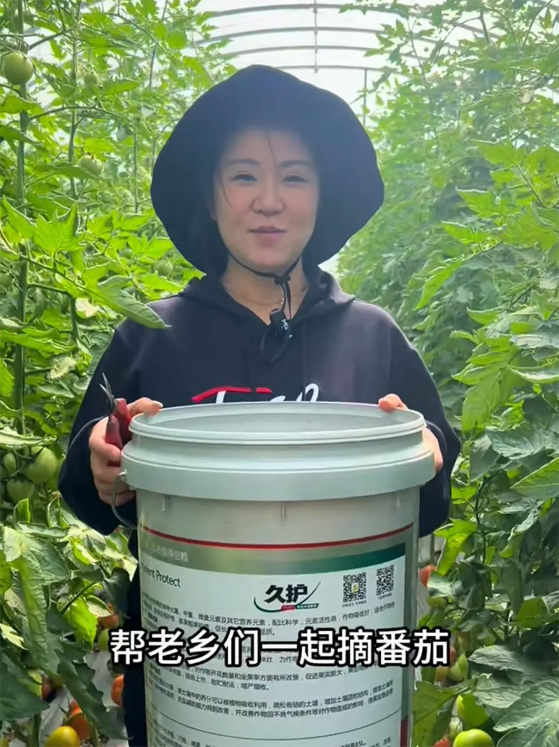 ����ɭ��������W�Tꐿ°�